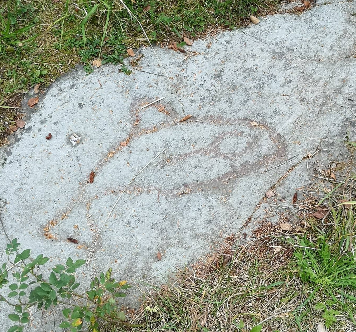 Helleristningene ved Evenhus — nisefigurer