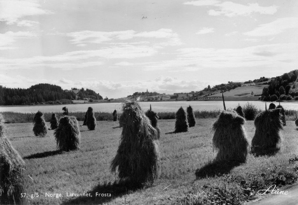 Liavatnet ca 1950
